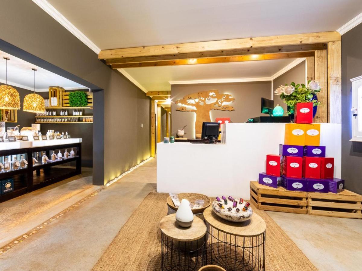 Royal Tree Guest House Потчефструм Екстериор снимка